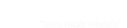 T.F.T. TUTELA FISCALE TRIBUTARIA s.r.l. s.t.p. Logo